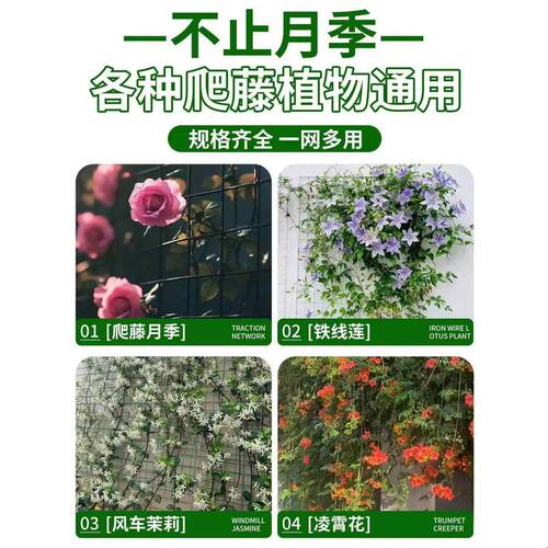 月季爬藤铁丝网花架蔷薇植物爬墙固定专用花墙神器壁挂网格爬藤架