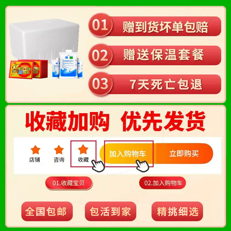 紫百叶水草前景中后景无需二氧化碳新手懒人小鱼缸增氧阴性水草,宠物/宠物食品及用品,水草,淘宝优惠券,粉丝福利购,淘宝优惠卷
