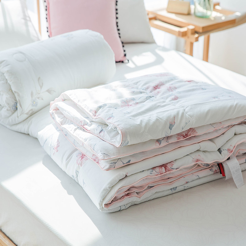 纯棉春秋被全棉2米被子单人双人床被芯保暖薄春季棉被芯空调被,床上用品,化纤被,淘宝优惠券,粉丝福利购,淘宝优惠卷