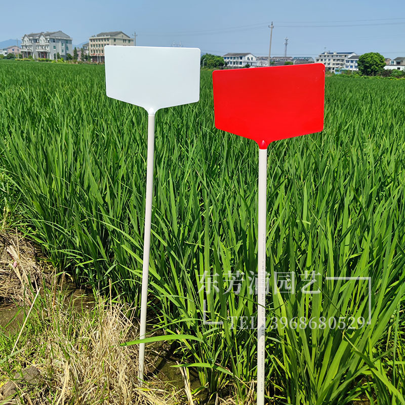 大面插地牌塑料自由组装园艺植物提示插牌农场田间试验牌花卉标签