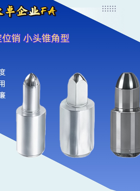 YCR01/02/03/16/18/41/48/55/56/11/1256/58-D-P-B小头锥角定位销