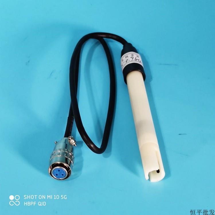 上海盛磁DJS-1型电导电极DDS-11A电导率仪电极