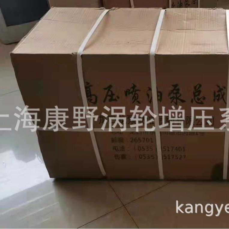 泵BP61476170Z-22.31.00和6710ZD-3A.31.00BHT6P9和BHT6P96836