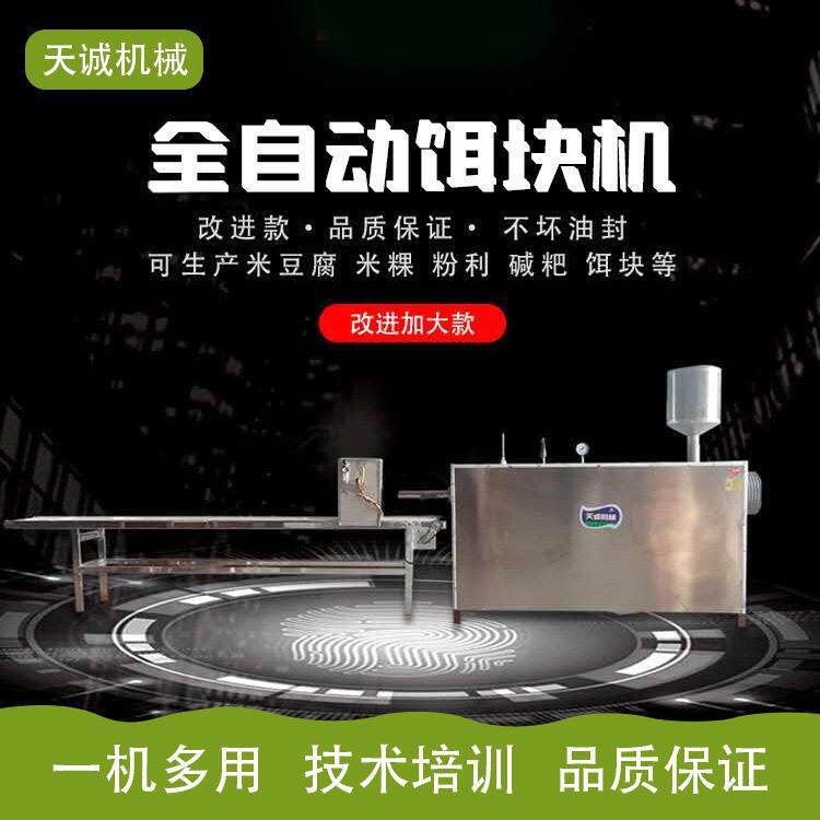 天诚牌自熟饵块机型号齐全不锈钢年糕加工设备