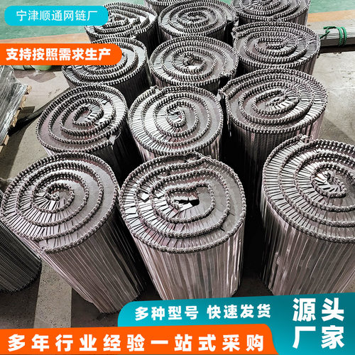 304不锈钢网带耐高温板栗烘烤果蔬清洗输送带工业输送机螺旋网链