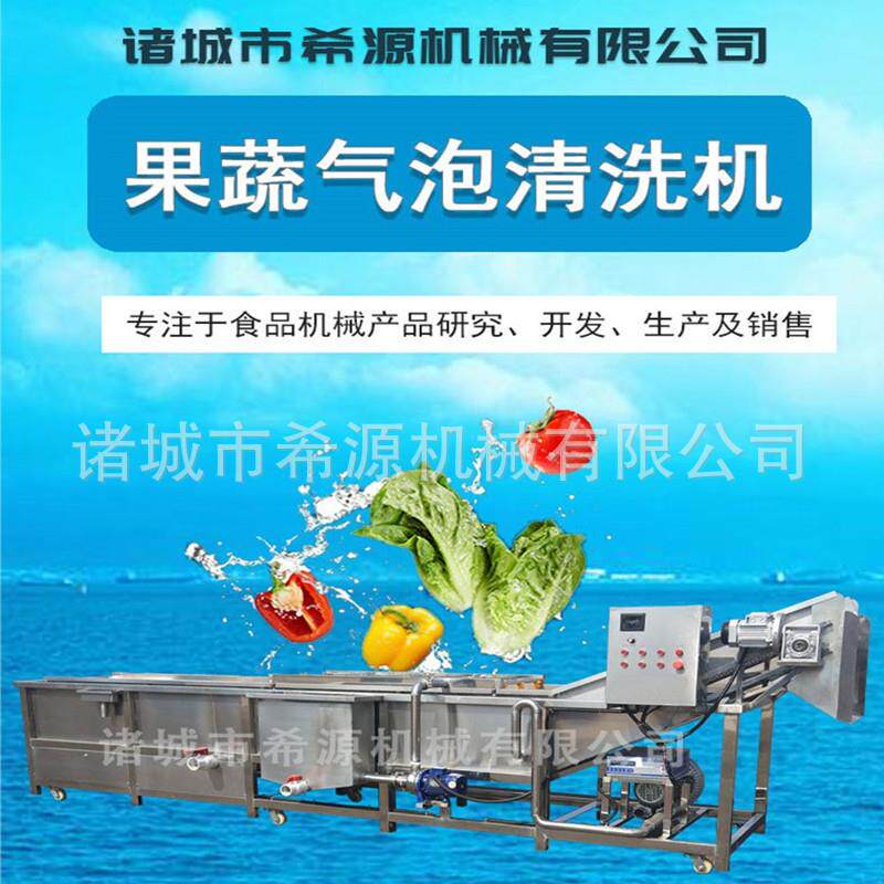 商用食堂不锈钢果蔬清洗机蔬菜大枣气泡清洗机多功能海带洗菜机