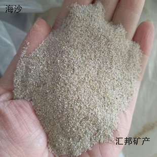 圆粒砂跳远沙坑儿童娱乐沙室内淘气堡沙池用海砂石英砂建材砂