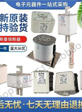 巴斯曼BUSSMANN170M5313531453155316伊顿EAOTN熔断器现