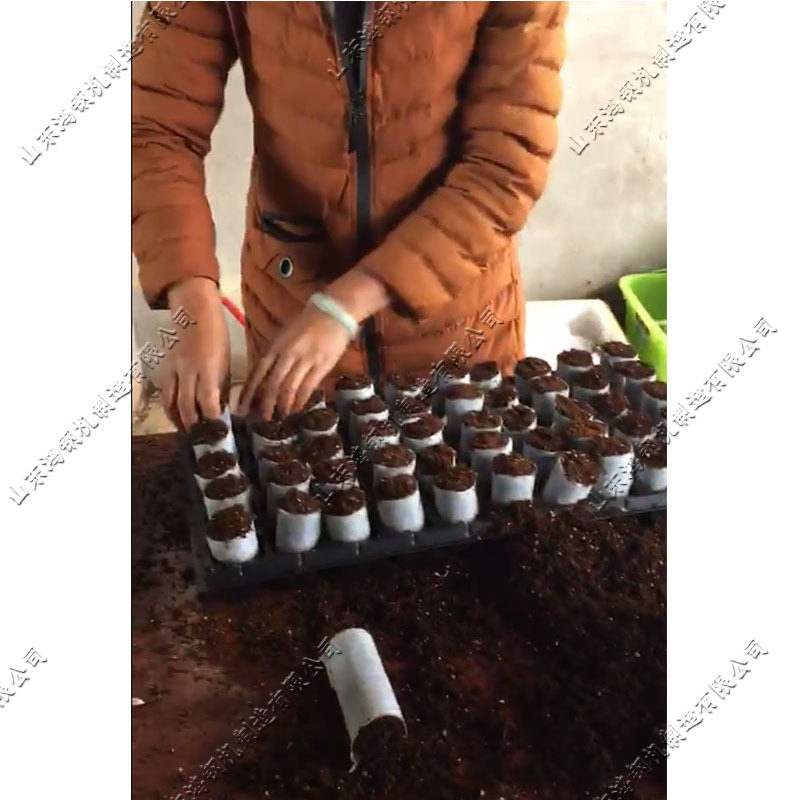 无纺布营养块成型机 全自动育苗压块机 轻基卧式网袋容器制钵机