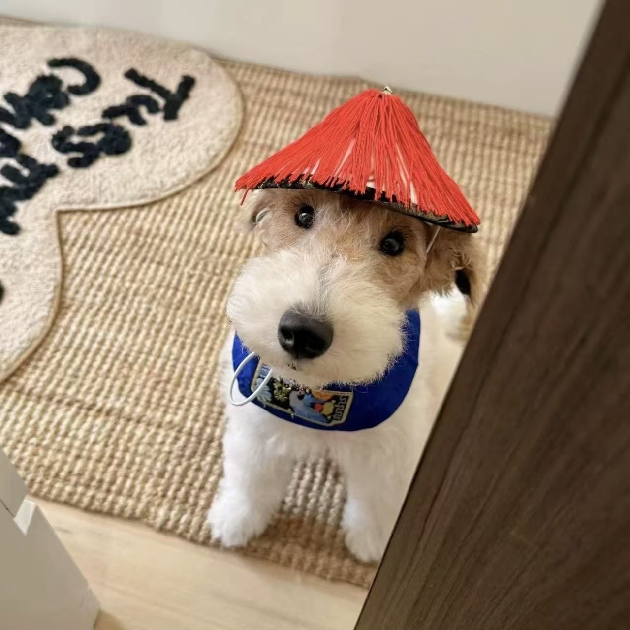 宠物创意宫廷风COS装扮皇后娘娘贴身小李子搞怪装扮中小型通用款