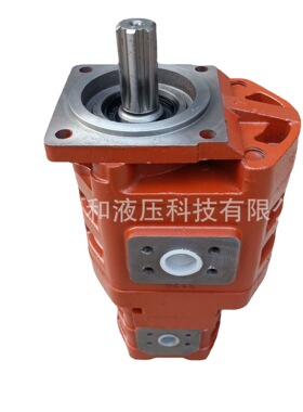 CBGj3100/1010C-XF 德工ZL50配套双联泵 厂家供应 铸铁齿轮泵厂家