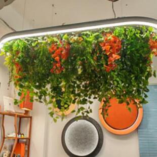 灯具大型圆形环形植物吊灯健身房餐厅酒店办公区现代中餐厅餐吧灯