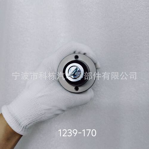 车用起动机电磁开关QDY1239-170