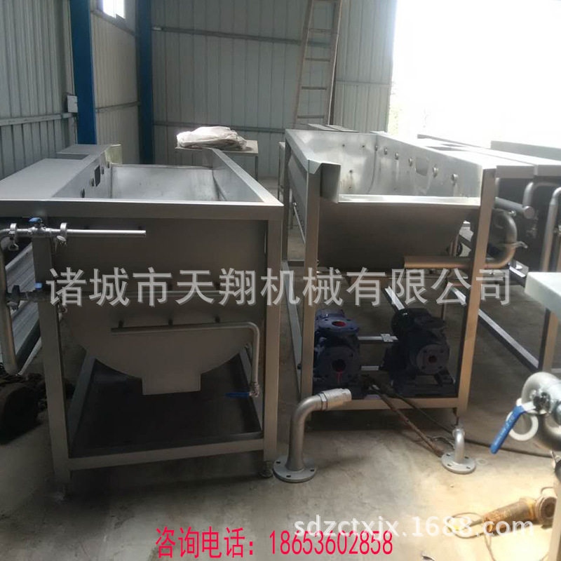 天翔牌黄豆芽涡流清洗机 叶菜清洗设备厂家  生产蔬果清洗设备
