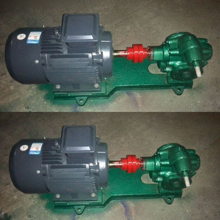直销KCB-135齿轮泵 2CY-8/0.33不锈钢齿轮输油泵 整机齿轮泵