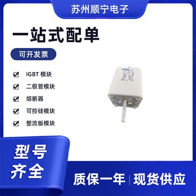 170M5138  170M5139  170M5140  170M5141  170M5142熔断器保险丝