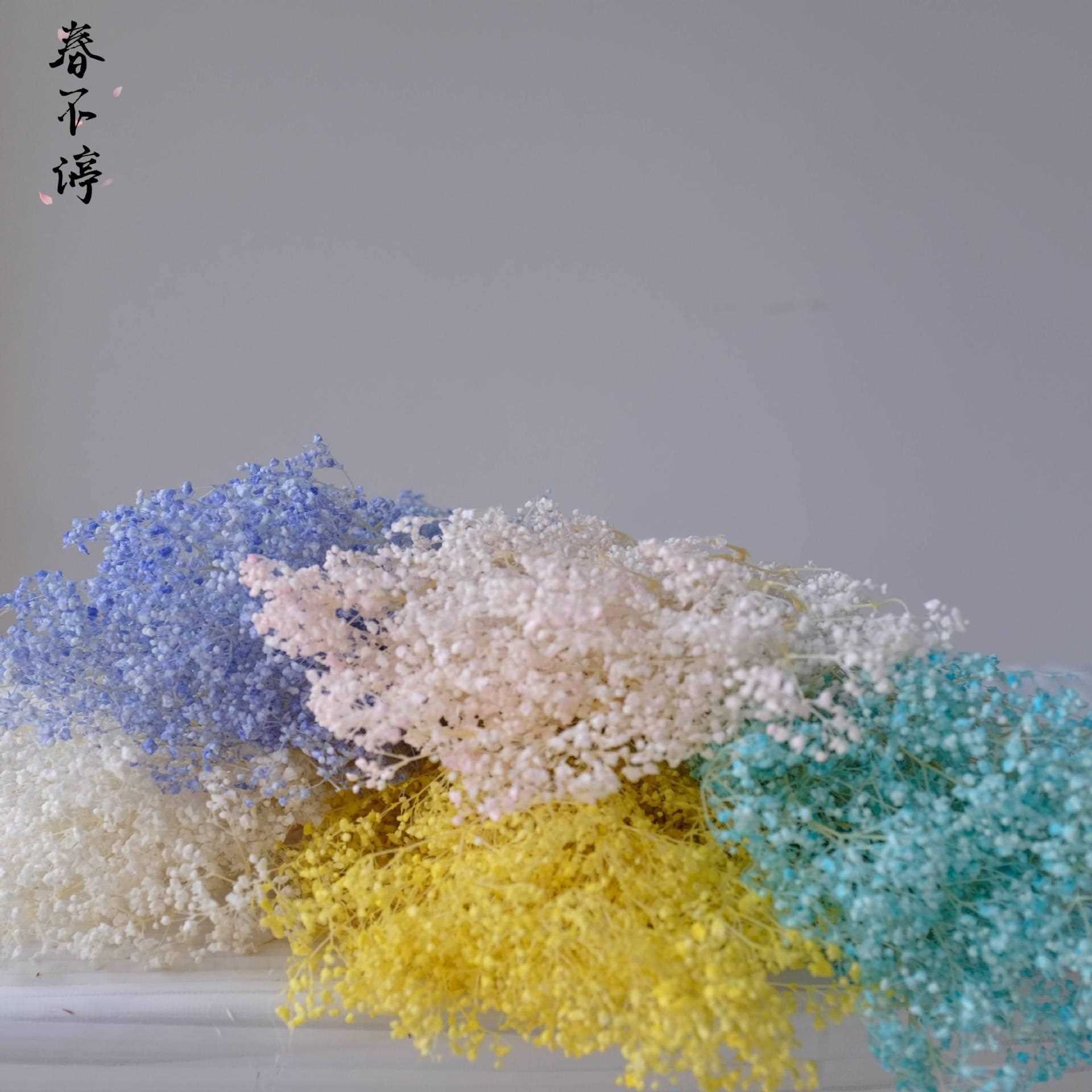 新款直销永生梦幻星霞草小满天星 百万星干花花束千万星花材装饰