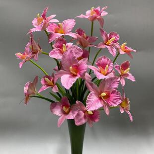 直销新款5头过胶卡特兰仿真花 迷你蝴蝶兰盆栽家居摆放花卉办公室