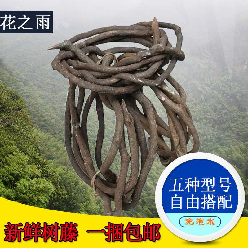 新款直销树藤枯藤管道婚庆装饰红山藤仿真藤条枝藤蔓叶花藤绿植树