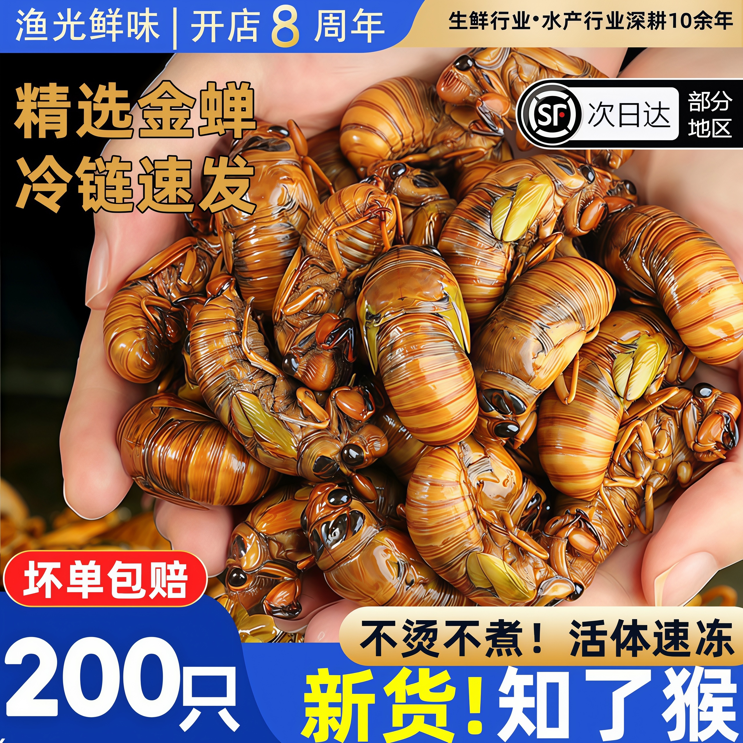 金蝉鲜冻知了猴蚕蛹蝉蛹商用批发