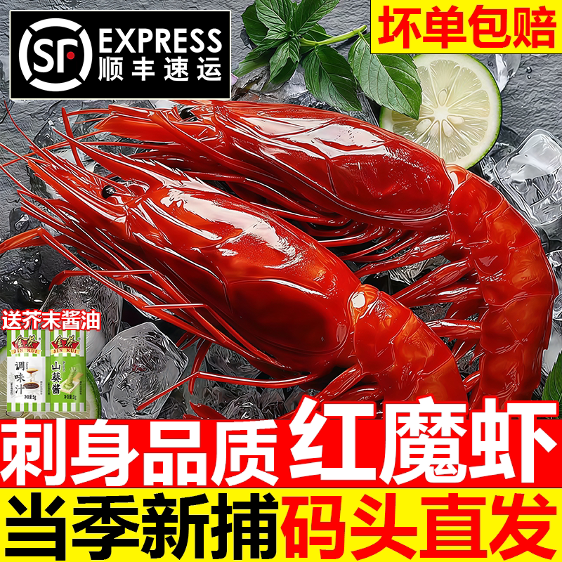 红魔虾超大冻虾船冻刺身生腌顺丰