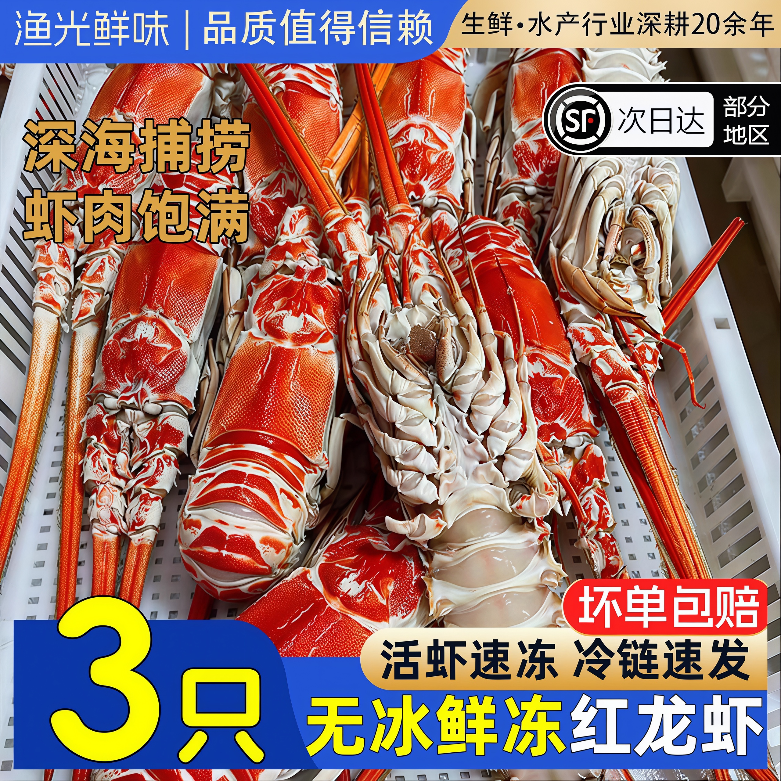 红龙虾鲜活冷冻超大角脊龙虾商用