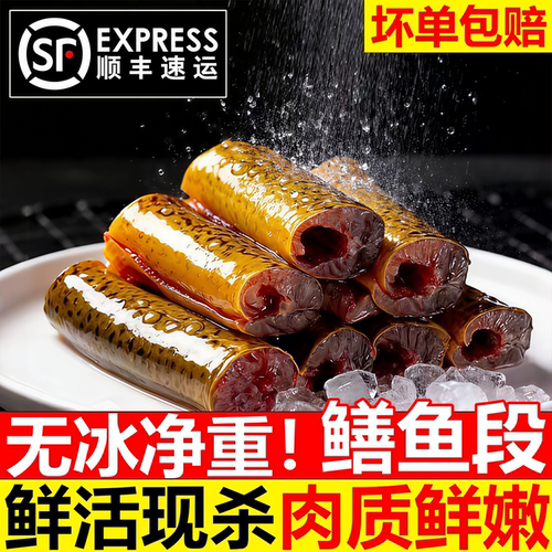 黄鳝段鲜冻三去鳝鱼段煲汤顺丰