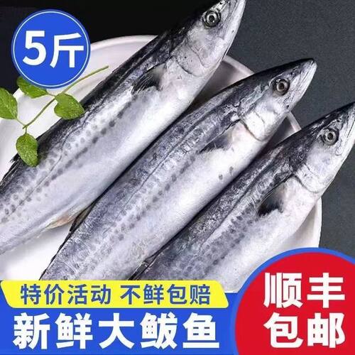 鲅鱼大整条冷冻冷冻马鲛鱼顺丰