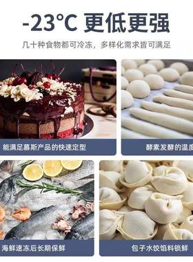 BO现货单门1烤4盘/双门28盘/门42插盘冷柜-22°C速盘冻风冷冻盘柜