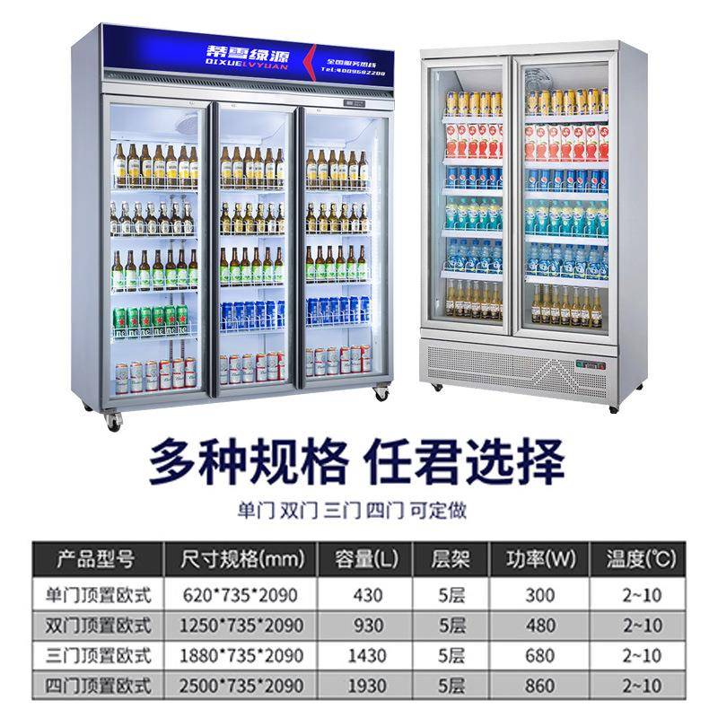 西啤酒饮料柜跨境直供V压110冰柜水果立式电130冷科藏展示柜冰柜