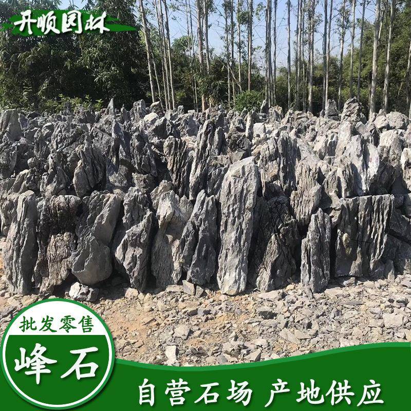 产地英德景观石盆假山峰石大鱼缸PYT园小林造景石英景石
