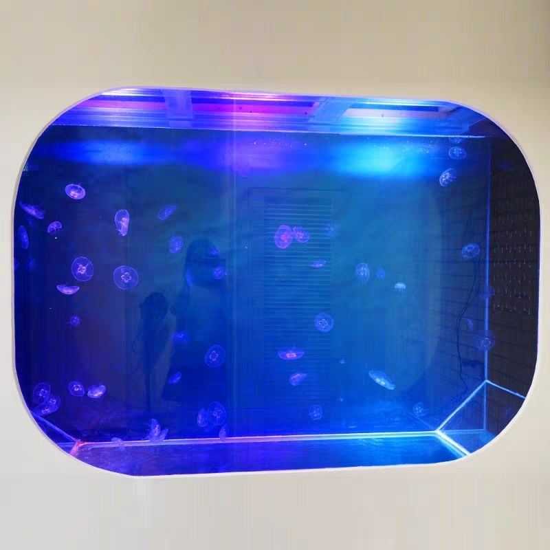 承接水母工程酒吧音乐餐厅海洋馆水母展水母缸定制水母墙工程预订