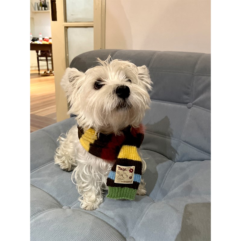 Tagi.彩条马海毛混纺条纹秋冬保暖可爱人宠共用小围巾