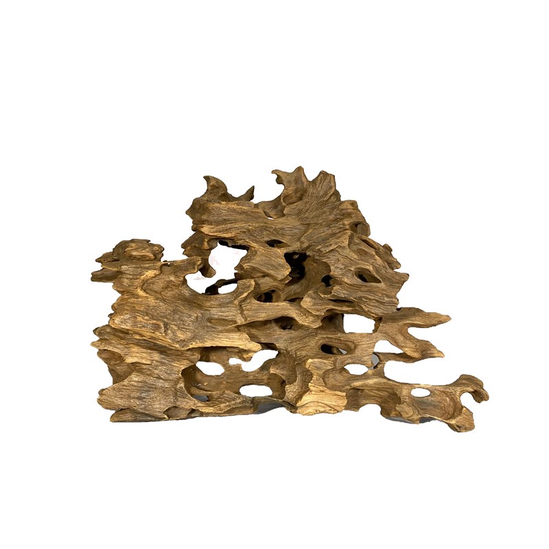 虾木蜂窝木观赏虾躲避繁殖沉木造景天然鱼缸免煮木头水草定植