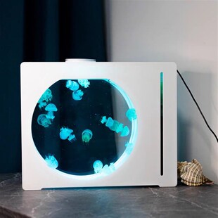 级水母缸干湿分离过滤水母缸还原水母生存环境造流系统缸