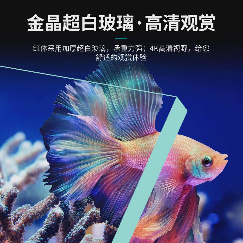 金池小型鱼缸客厅家用桌面鱼缸静音免换水水族箱超白玻璃背滤鱼缸