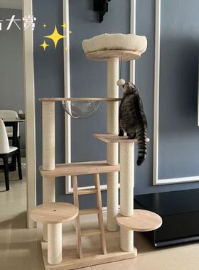 蜜罐猫豪华实木猫爬架带窝猫树猫窝一体小型跳台大型立式通天柱酷