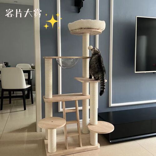 蜜罐猫豪华实木猫爬架带窝猫树猫窝一体小型跳台大型立式通天柱酷