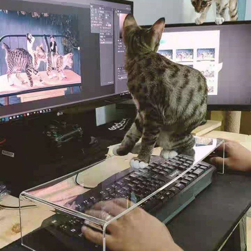 笔记本电脑键盘防猫踩桌面支架增高透明防尘保护套键盘防尘罩托架