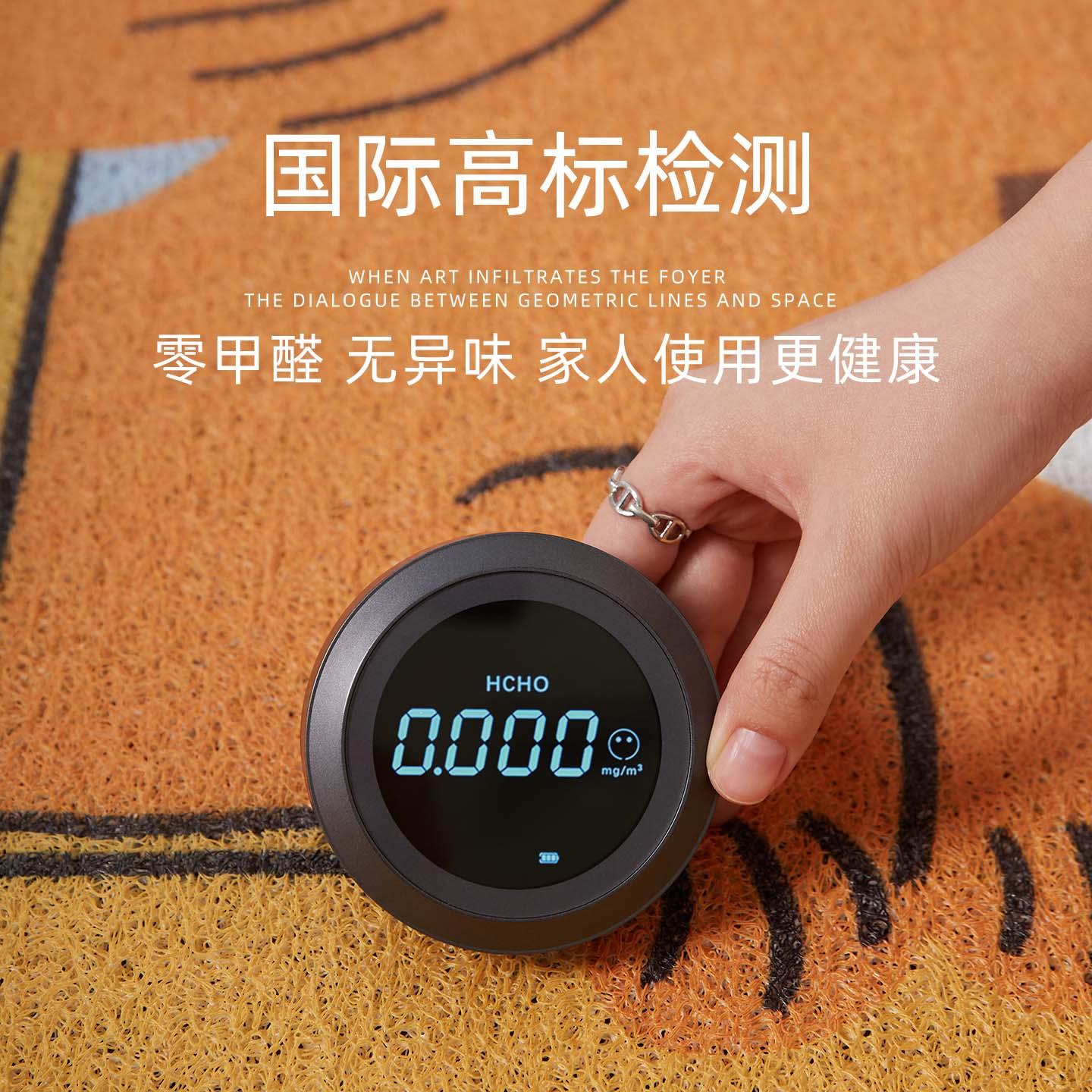 入户门地垫2025新款耐脏免洗pvc丝圈防滑室内门口玄关脚垫门垫