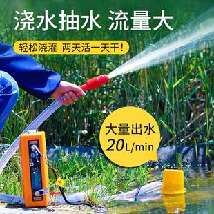 直流潜水泵小型家用12v便携1寸电动自动浇水泵充电户外浇菜浅水泵