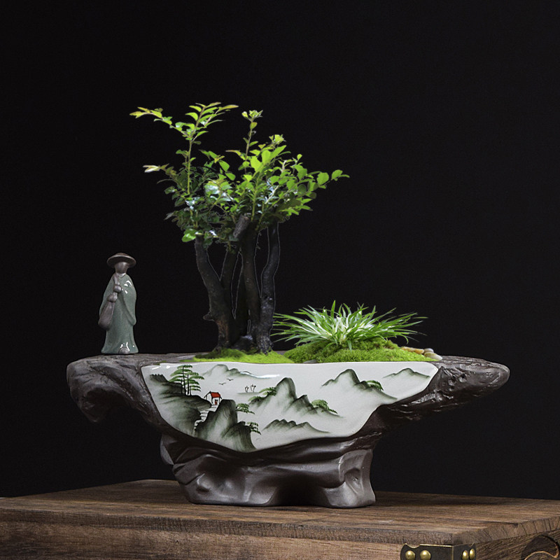 创意盆栽盆景小榆树花盆室内桌面个性绿植大号透气多肉植物花器盆