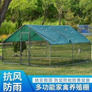 鸡棚鸡笼户外家禽养殖遮雨棚骨架挡风防雨鸡N舍防晒简易搭建鸽笼