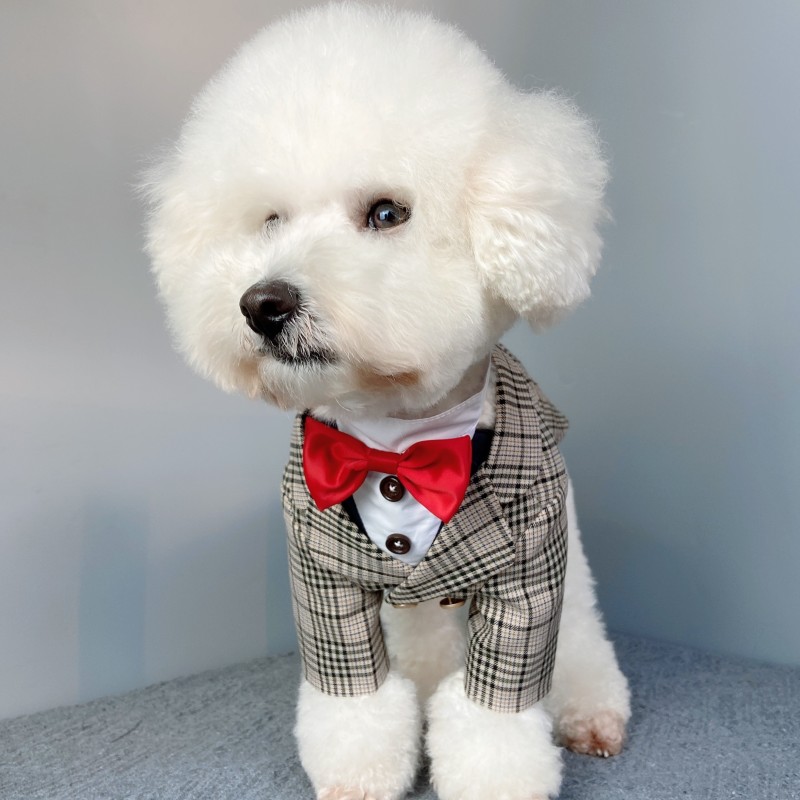 狗西装礼服纸样狗狗绅士西服图纸宠物泰迪金毛法斗结婚纱样版模版