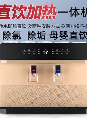 净水器直饮家用加热一体机壁挂式ro反渗透农村井水除垢除氯净水机