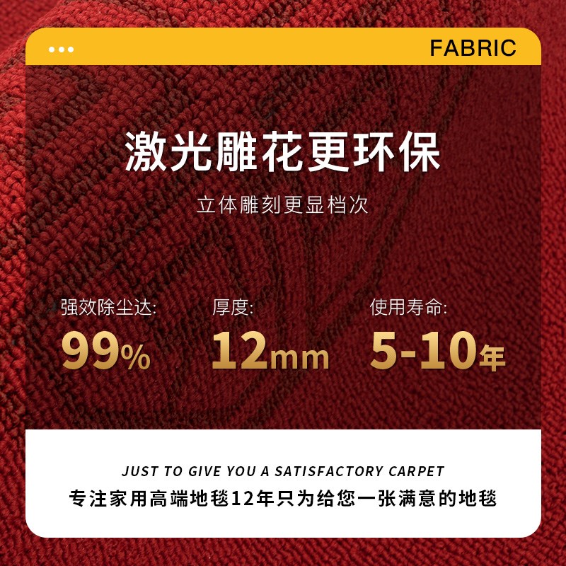 别墅入户门地垫家用进门地毯加厚新中式玄关室外高级门外门口脚垫