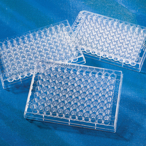 Corning 96孔高结合力微孔板平底25块/袋无盖非灭菌蛋白结合