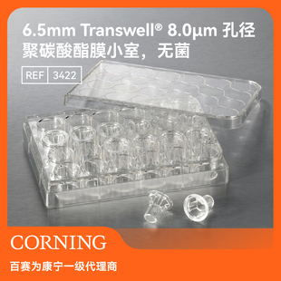 康宁Transwell细胞小室TC处理0.4/0.5/8.0μm 6/12/24/96孔板无菌