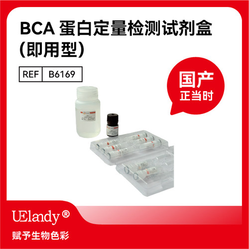 UElandyBCA蛋白定量试剂盒
