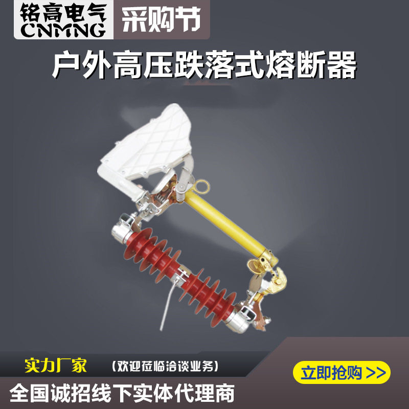 HRW10F系列令克开关熔丝HRW10-12F/100A跌落式熔丝高压限流熔断器